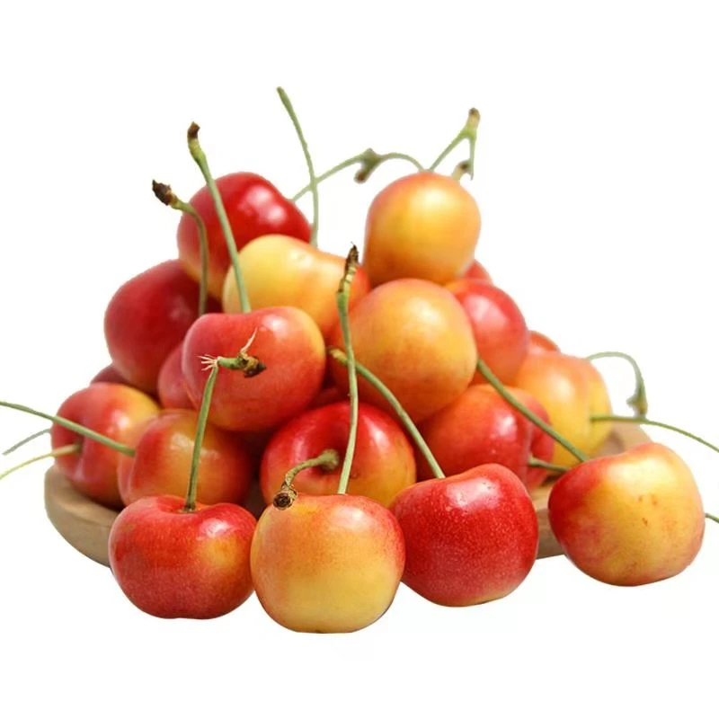 【钦鲜生】3J金车黄车智利空运车厘子4.4斤原箱【顺丰包邮