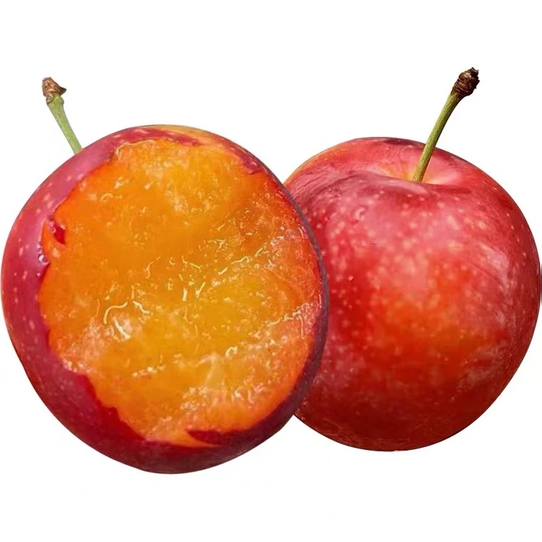 【2月浮力】当季限定智利进口李子全新稀有品种2/5斤 顺丰