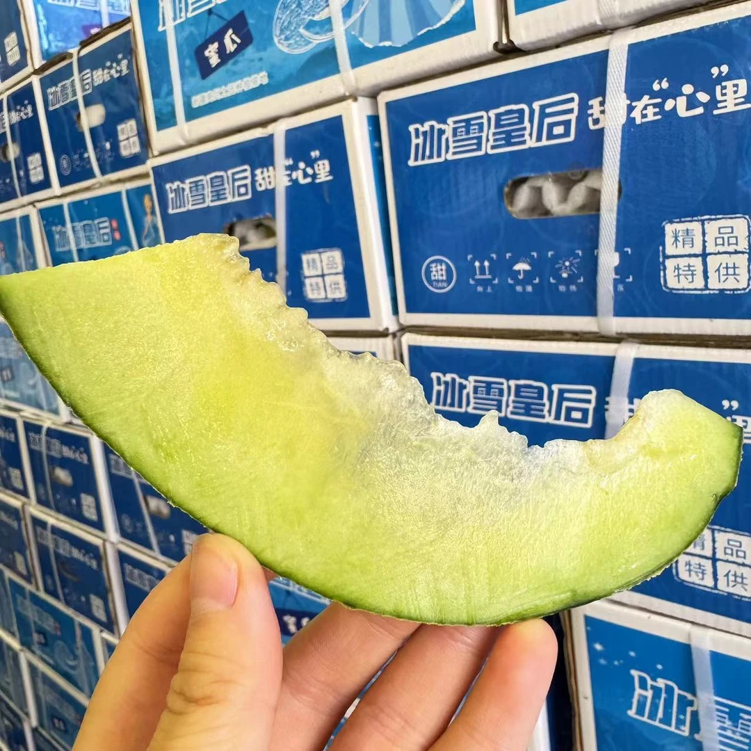 （新品浮力）冰雪蜜瓜冰淇凌甜瓜脆甜爆汁当季新鲜水果
