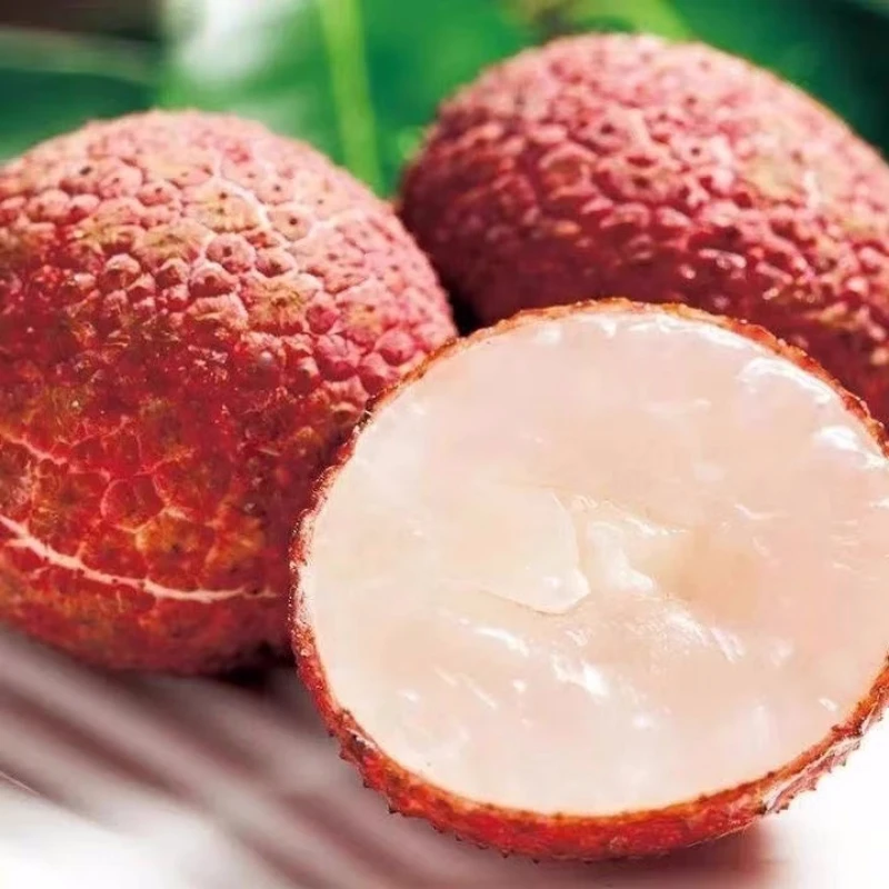 （6月开门红）海南无核荔枝2.2斤礼盒当季新鲜 顺丰包邮