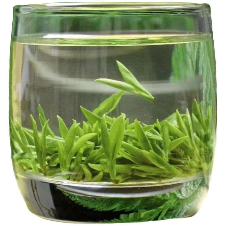 专享福利：2025明前头采毛峰绿茶嫩芽新茶浓香茶叶2025新茶自己喝