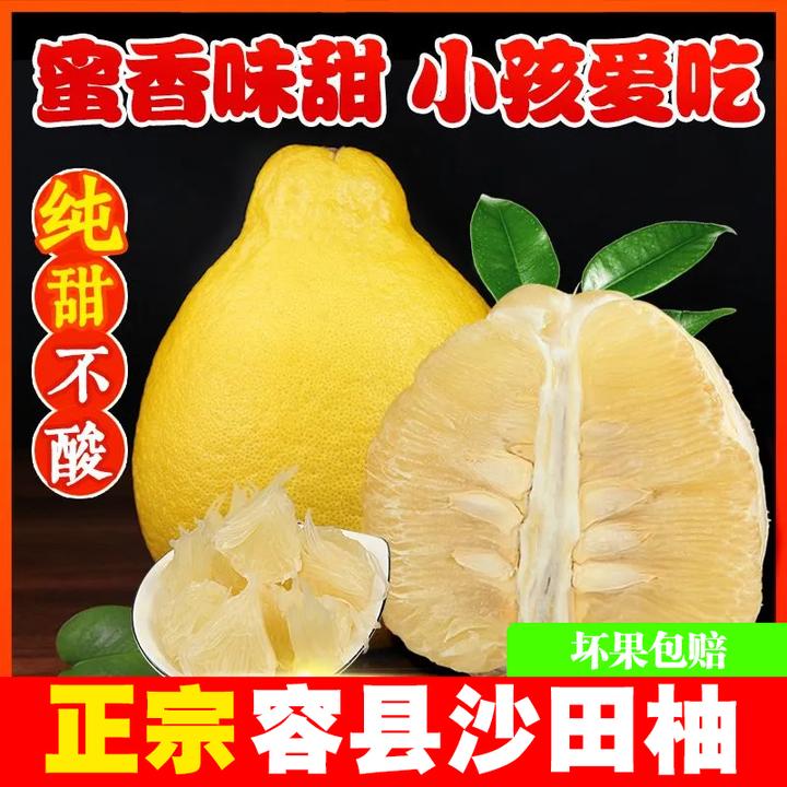 【纯甜】正宗广西容县沙田柚新鲜当季水果自良千秋沙田柚批发白心