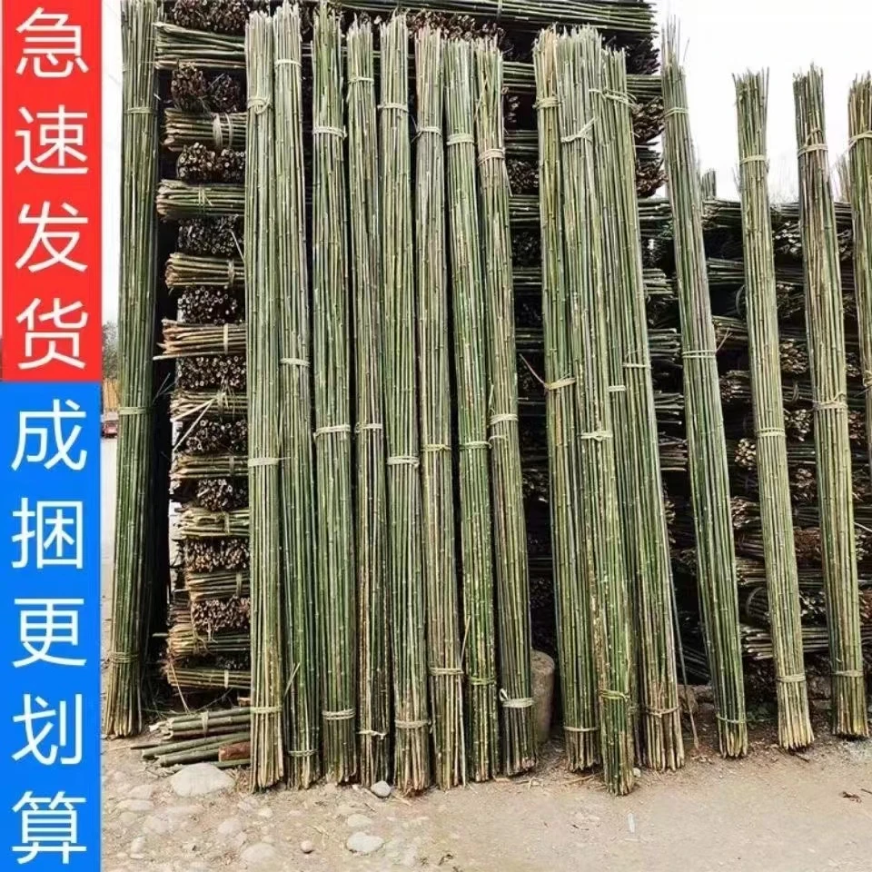 小竹子菜园搭架竹竿户外旗杆篱笆围栏黄瓜豆角爬藤菜架支架专用