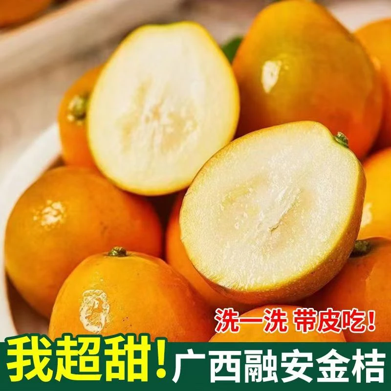 原产地广西融安滑皮金桔冰糖心脆爽多汁香甜果园现摘现发精选3斤