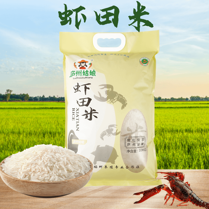 【海杉文化奥拓专属】新米现磨长粒新籼米虾田米20斤食用优质软糯