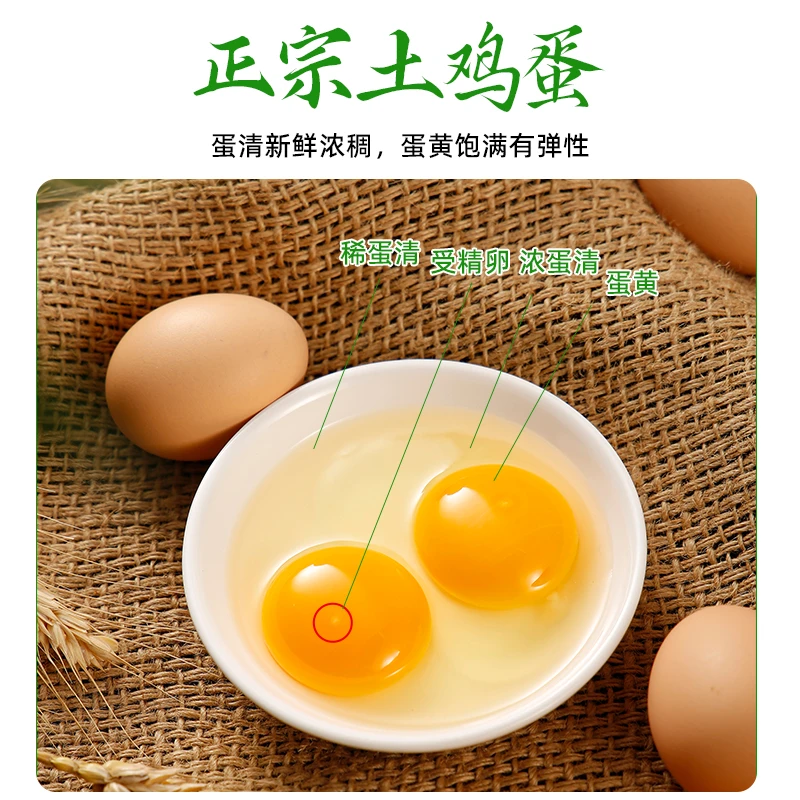 开播福利新鲜农家散养谷物新鲜土鸡蛋营养健康特别适合小孩孕妈妈