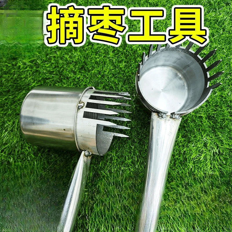 加厚2024新款酸枣不锈钢摘果器采果山枣柏树神器小枣工具扎手
