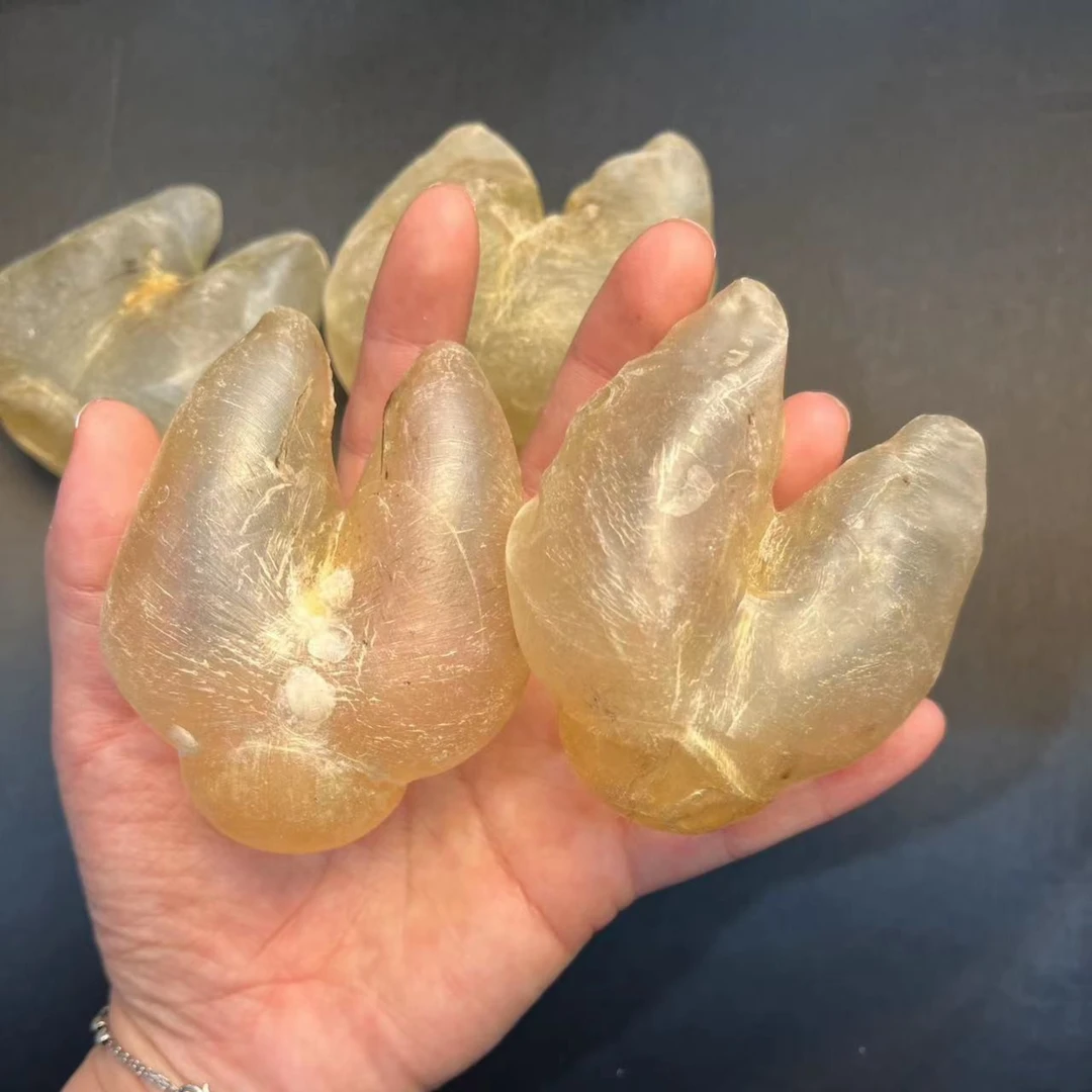 丹丹滋补鸡泡鱼胶滋补品批发行1-500g 花胶直播为准 临时链接