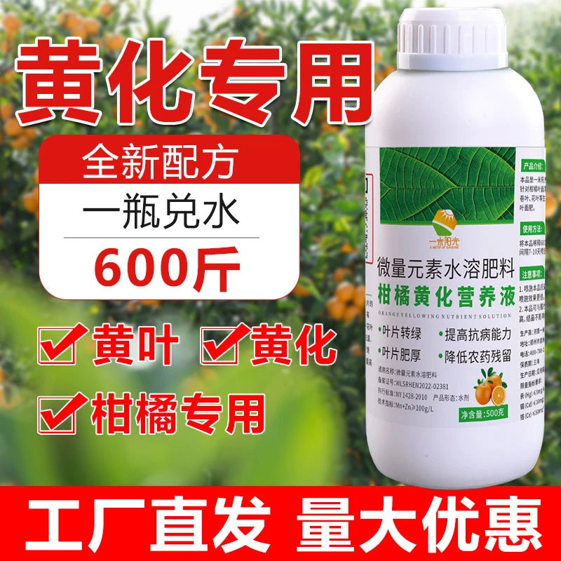 柑橘黄化营养液果树柑橘黄叶黄化病黄叶转绿小叶面肥花叶用