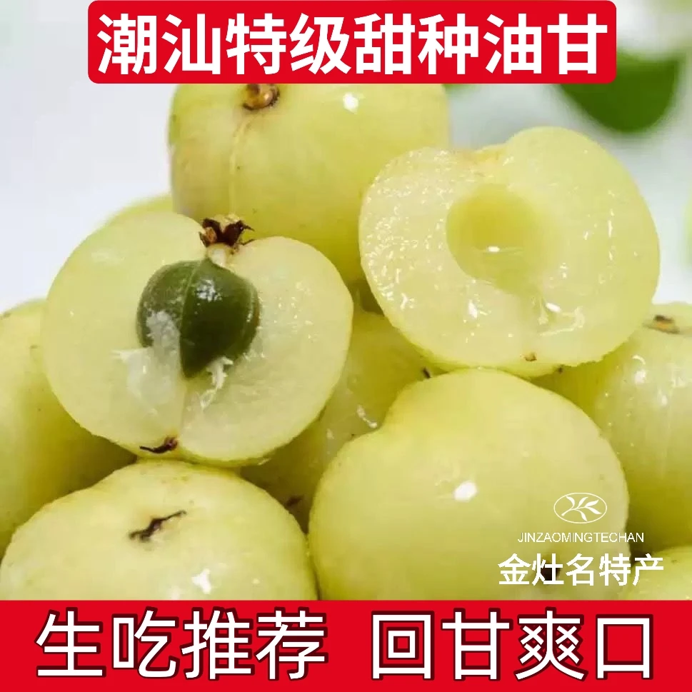 潮汕甜种油甘王新鲜柿饼甜油甘余甘牛甘果生吃榨汁玉油柑孕妇水果