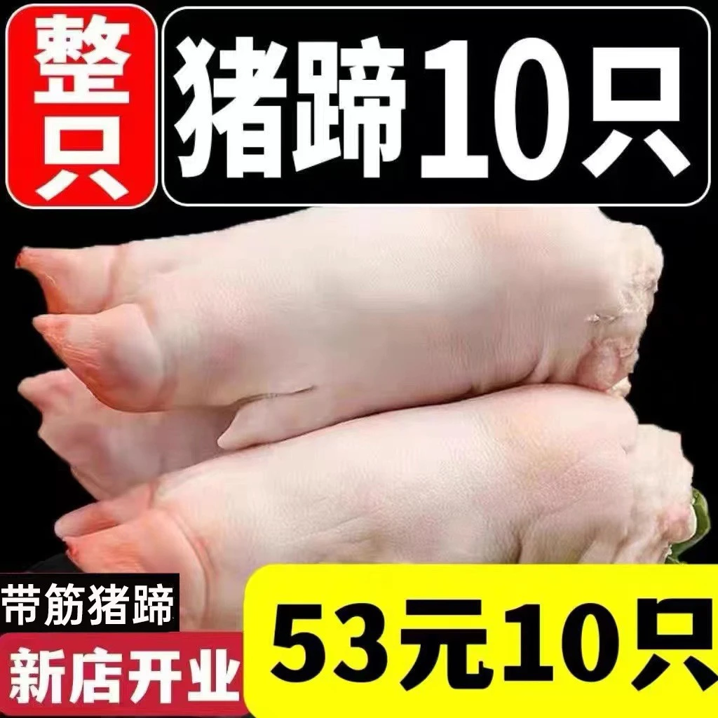 【速发】现杀土猪蹄10只带筋整只新鲜农家小香猪散养猪手猪脚前蹄