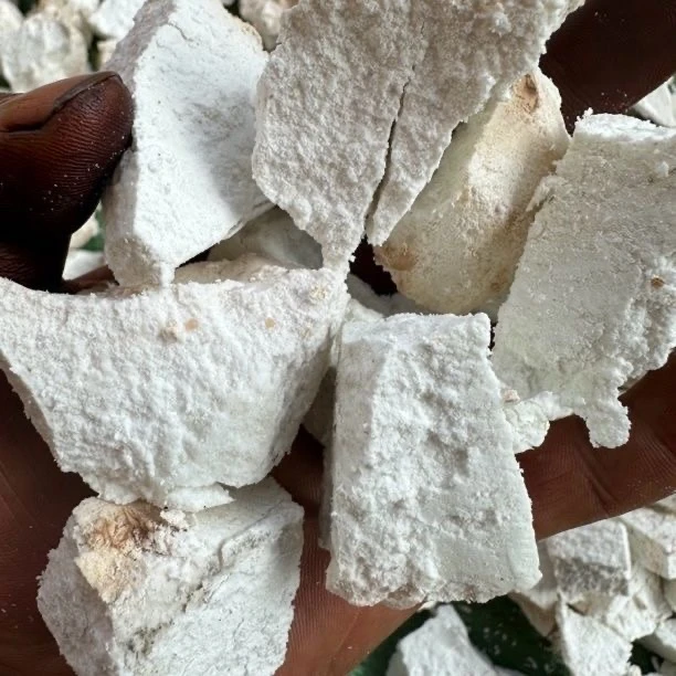 茯苓 块块，农户自种茯苓 煮水泡水煲汤祛湿
