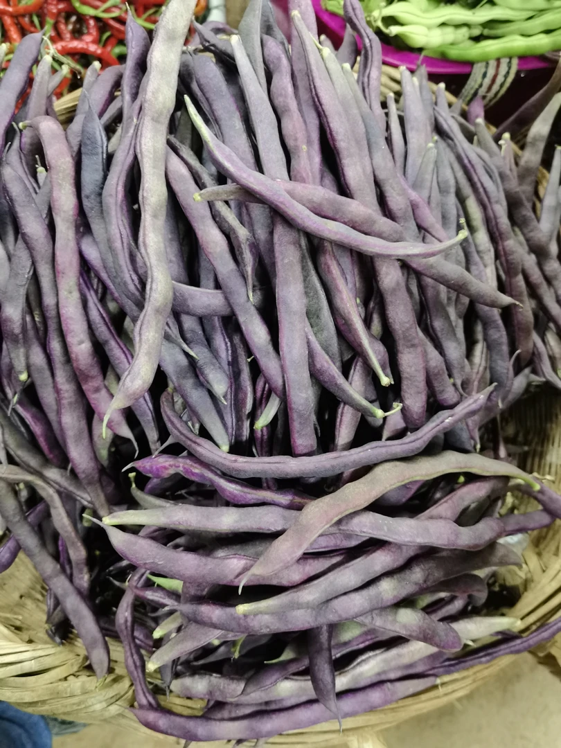 现收云南高山紫豆角