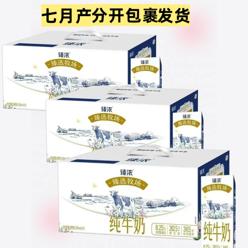 【3箱】伊利9月产臻浓纯牛奶臻选牧场250ml*12盒整箱早餐奶营养蛋白