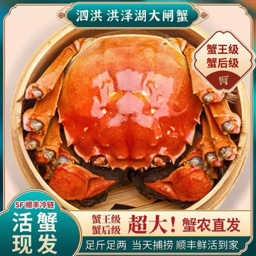 【活蟹】江苏大闸蟹，全母蟹6-10只（规格）3.5-3.8两西安顺丰死蟹包赔