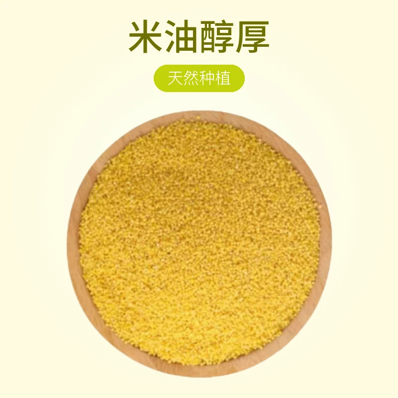 山区小米种植米油浓香