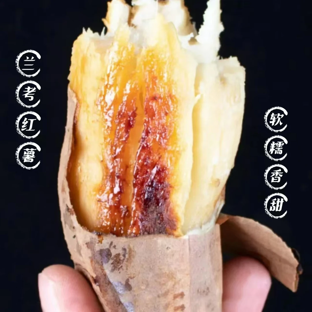 【汤东薯业】河南兰考红薯哈密冰糖薯5斤装小果/中果/大果