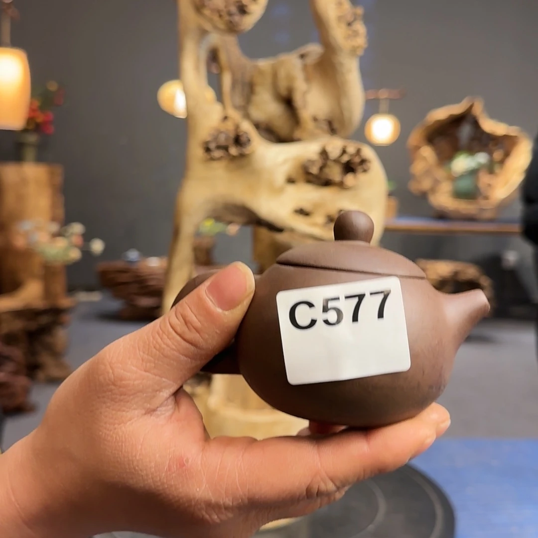 【闪购商品】陶瓷577天***毛