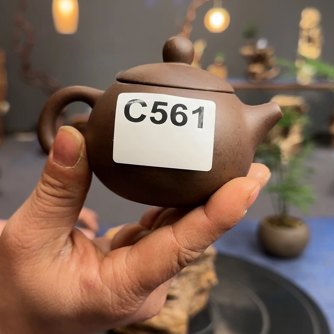 【闪购商品】陶瓷561尘**客