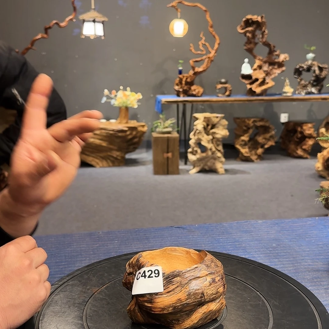 【闪购商品】陶瓷429罐**乐