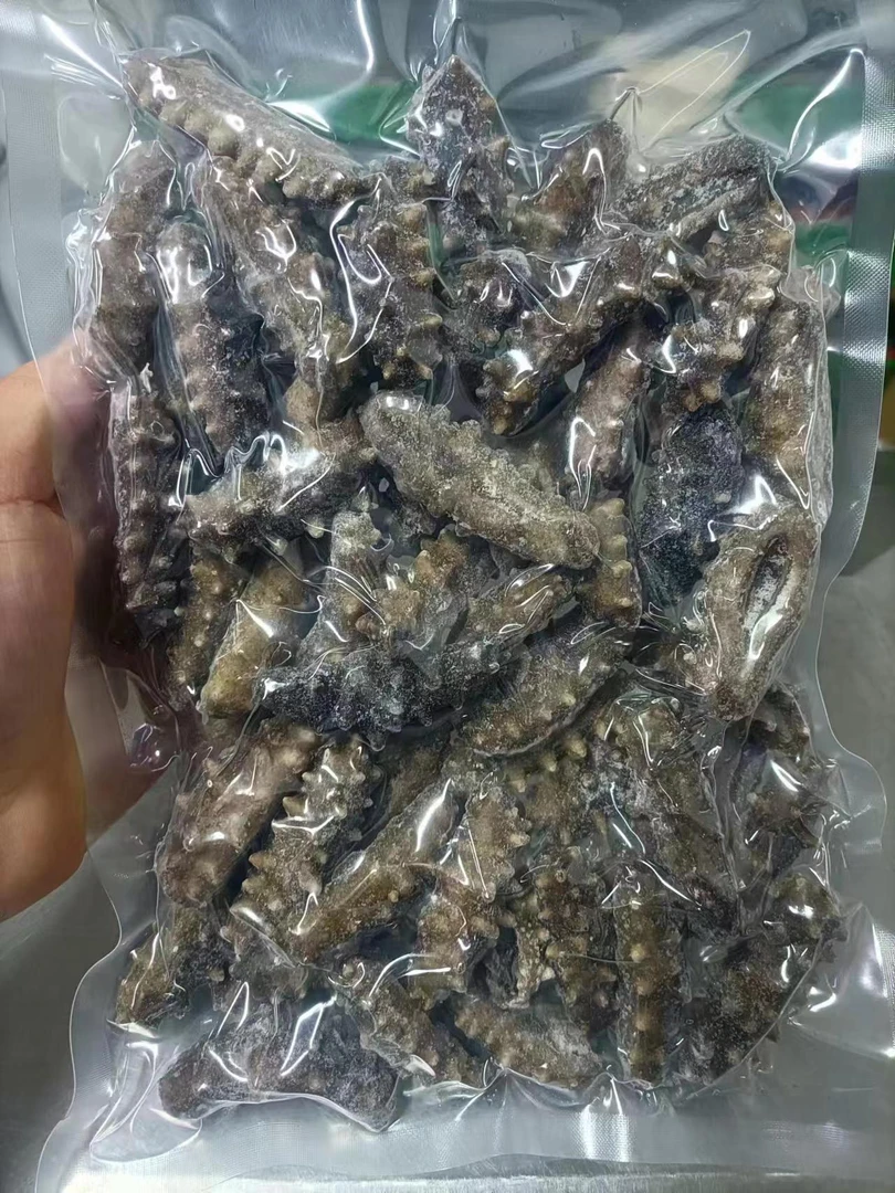 鲜食海参一斤50头 【奔跑的吃货吖专属】