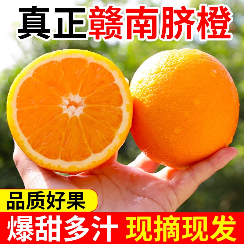 (粉丝专属福利)正宗江西赣南脐橙爆甜多汁不甜包赔