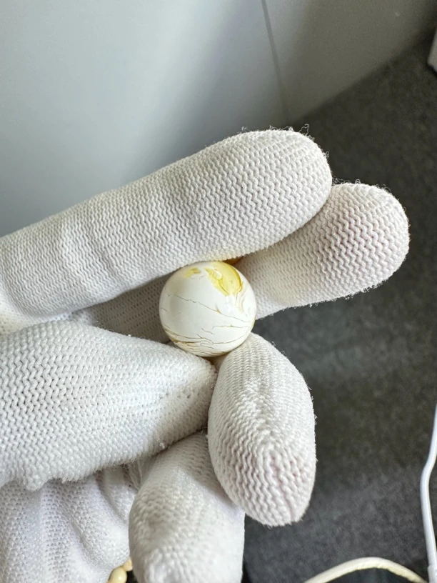 漆白蜜蜡圆珠18.5mm