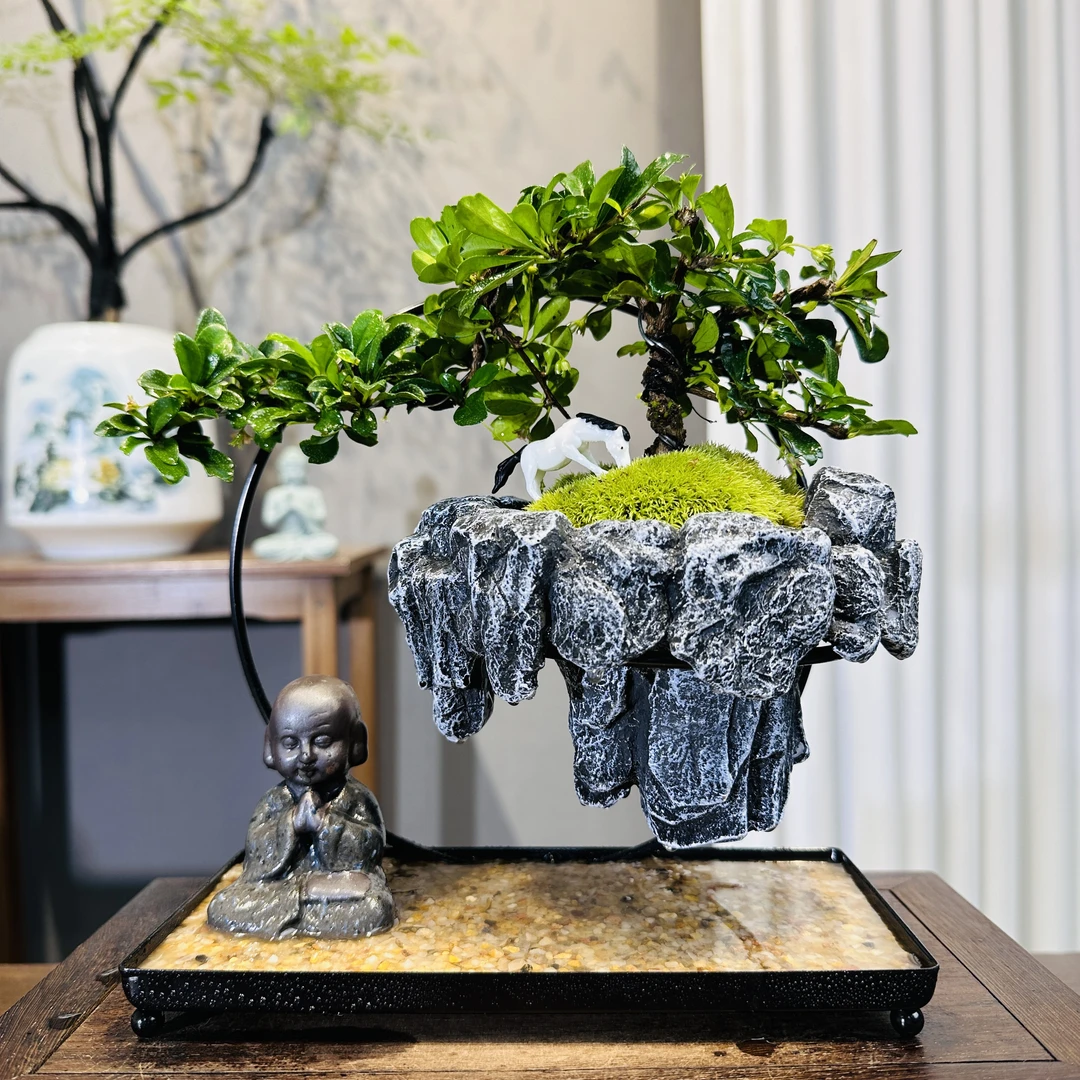 【天空之城】福建茶景观创意迷你绿植桌面观赏盆栽防辐射组合茶桌
