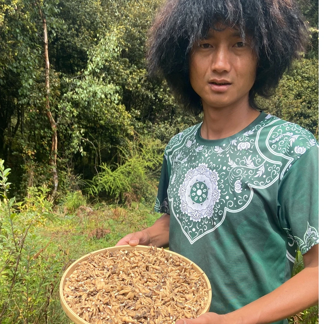 【西藏高海拔手掌参】