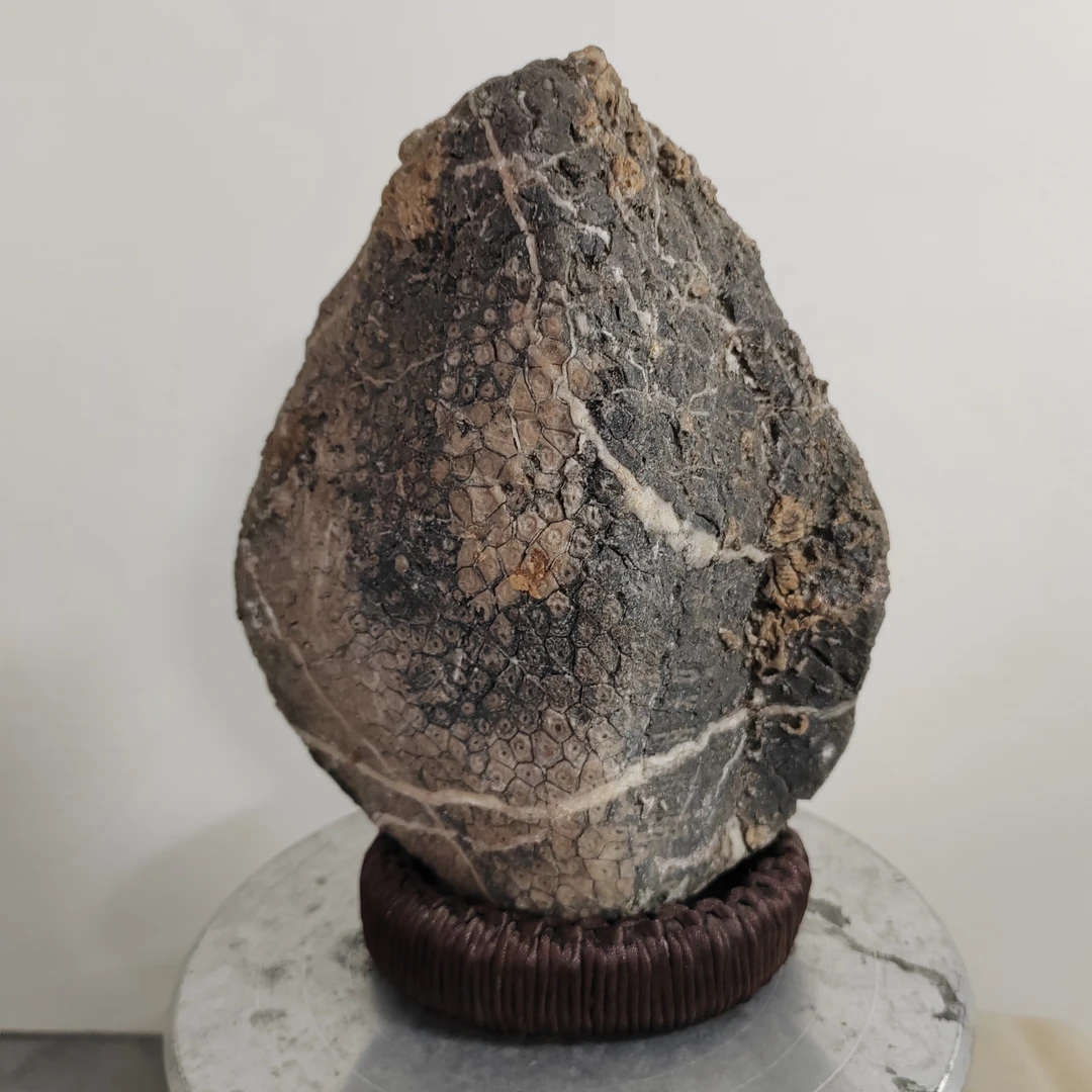 青石石头橱窗精美道具展厅装饰摆件纯天然软装奇石直播间第一名