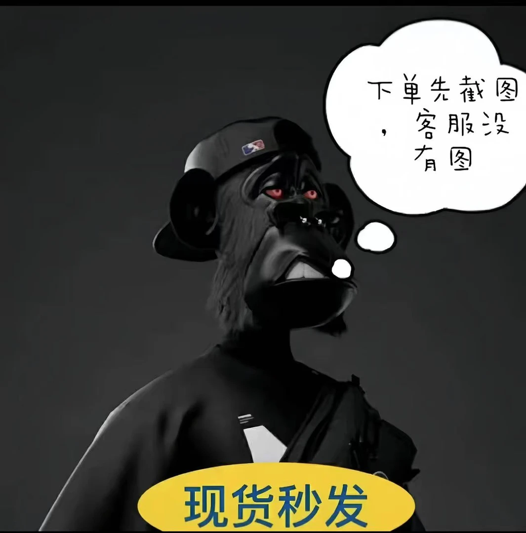 629 630【90 白鸭绒马甲】   小众潮牌买手设计款  2311 XY