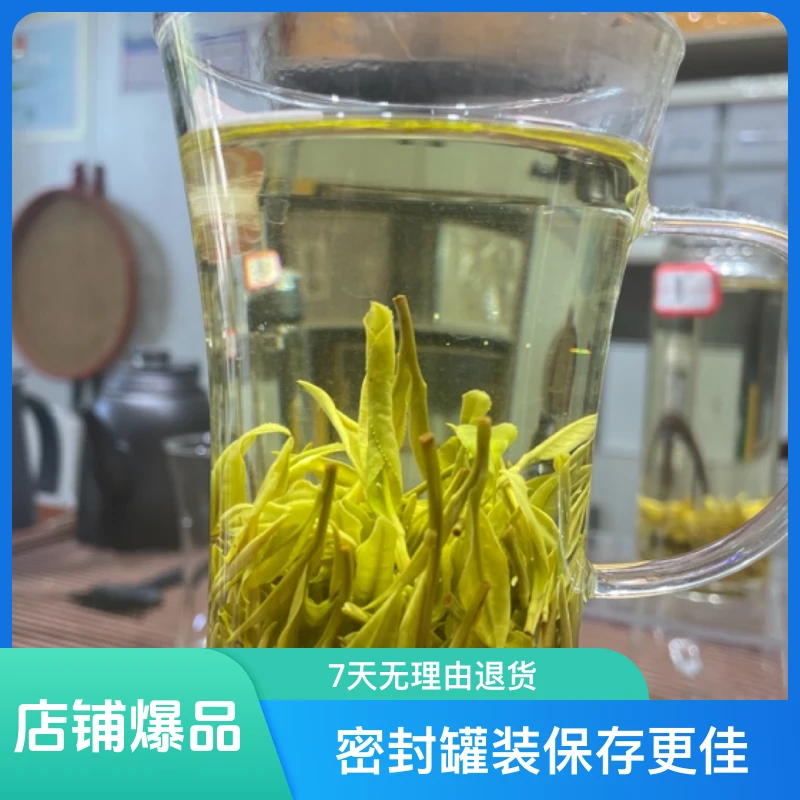 2024新茶安吉白溪龙产地香高味鲜耐泡度高