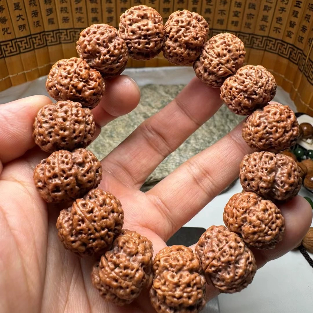 精品爆肉大金刚菩提