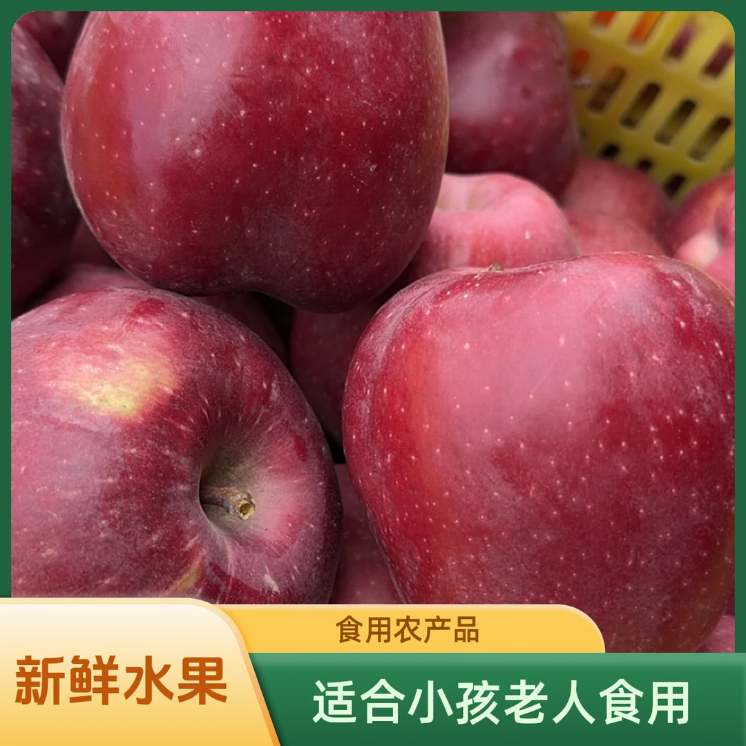 天水花牛苹果 新鲜采摘 天然色泽 口感脆沙甘甜 鲜脆重量十足味甜