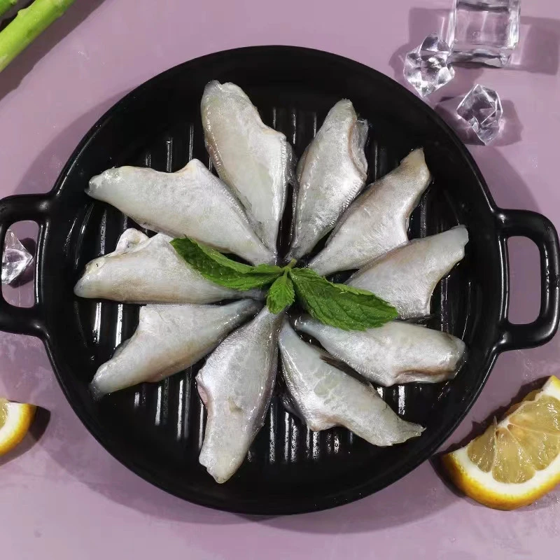 小小号耗儿鱼 扒皮鱼鲜冷冻马面鱼无冰剥皮鱼 橡皮鱼海鲜水产顺丰