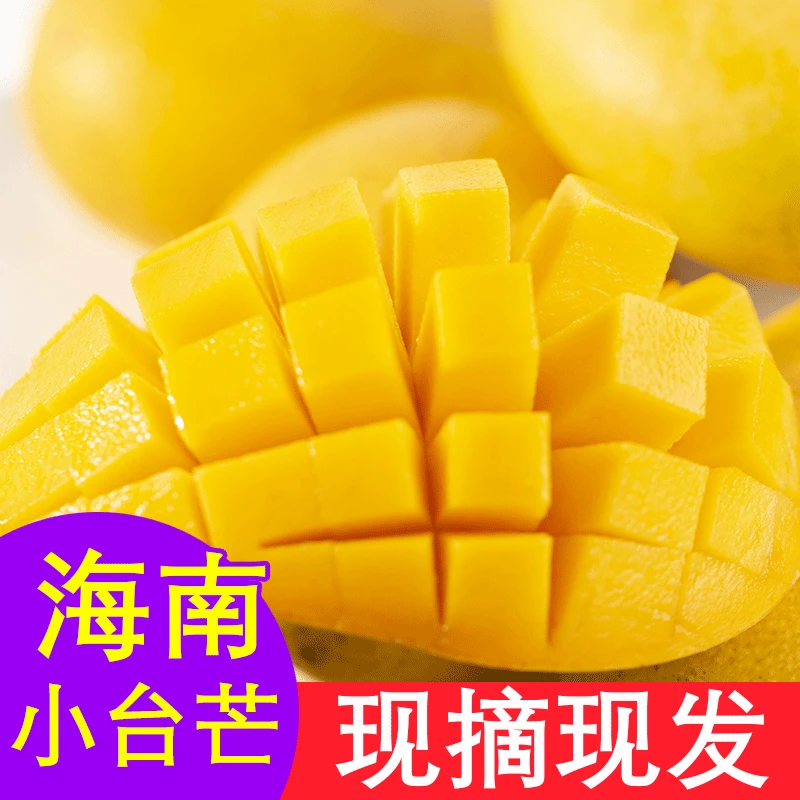 海南小台芒现摘热带水果鸡蛋芒小台农芒果新鲜水果3斤5斤9斤包邮