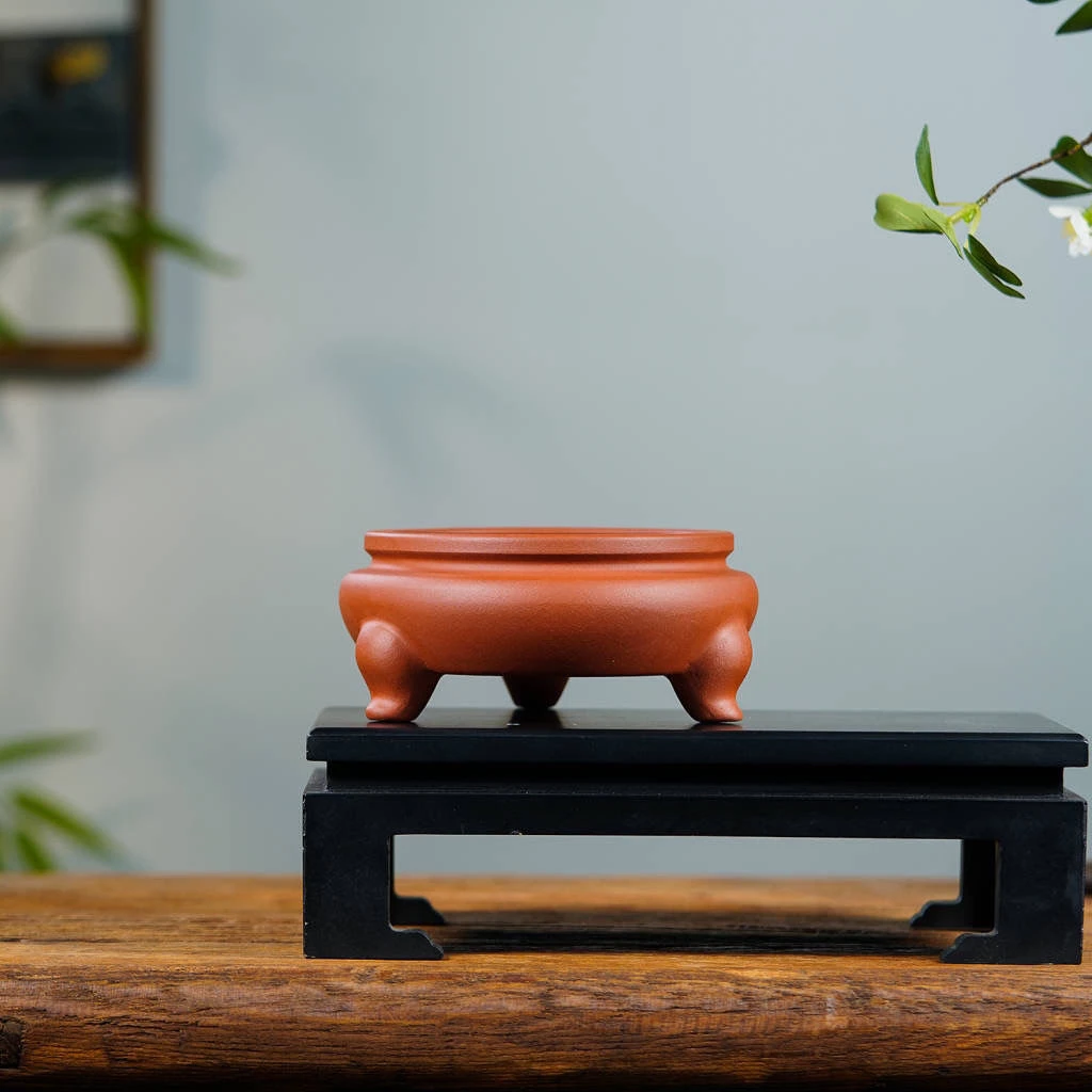 紫砂三角小花盆多肉植物菖蒲专用盆家用简约桌面精品陶瓷