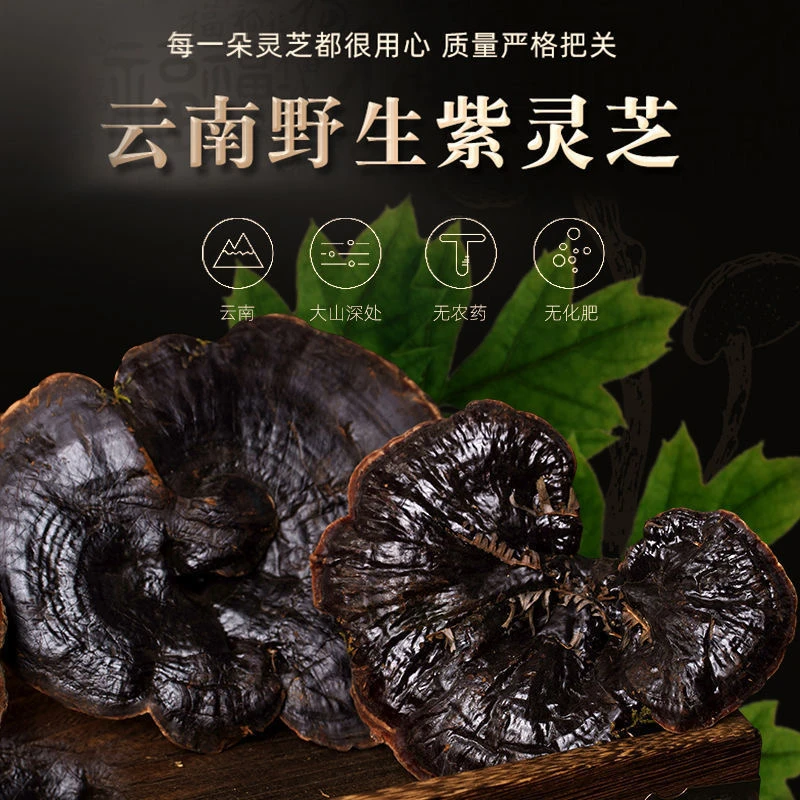 精选灵芝片段木灵芝云南紫灵芝优质灵芝片100克煲汤泡酒无硫灵芝
