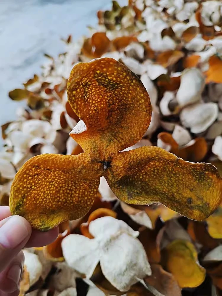 《塞口围二红皮》2023新皮16年老树油皮农家陈皮回甘生津花果花蜜香