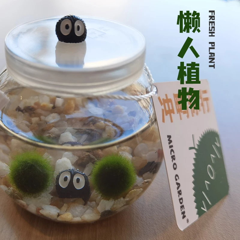 海藻球生态瓶趣味礼物新奇植物懒人好培养桌面萌宠水草简约微景观