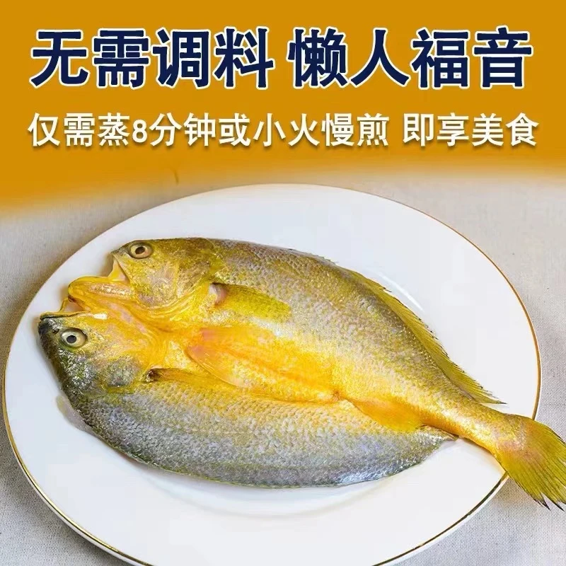 新新250g-290g/条霞浦特产大黄鱼新鲜开背三去大黄鱼口感鲜嫩