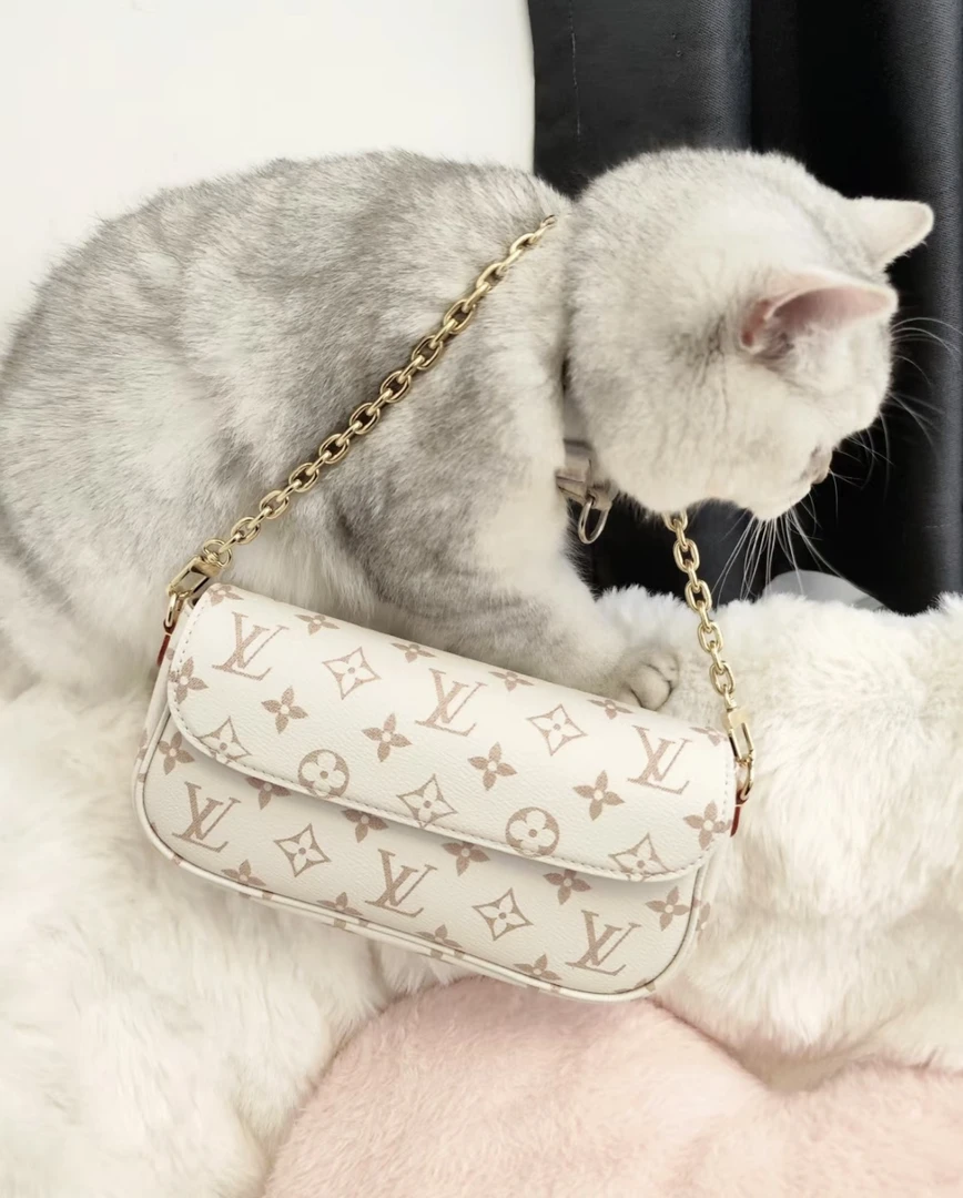 99新 LouisVuitton/路易威登 ivy沙丘色包/优品