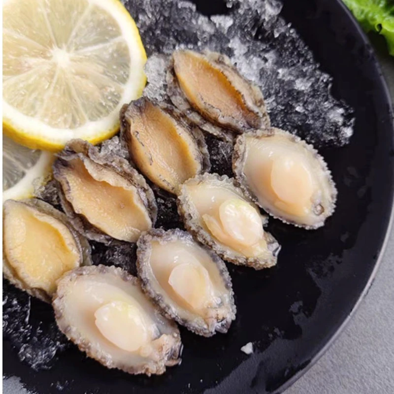 冷冻美味鲍鱼32只 饱满肥美 烹饪食用