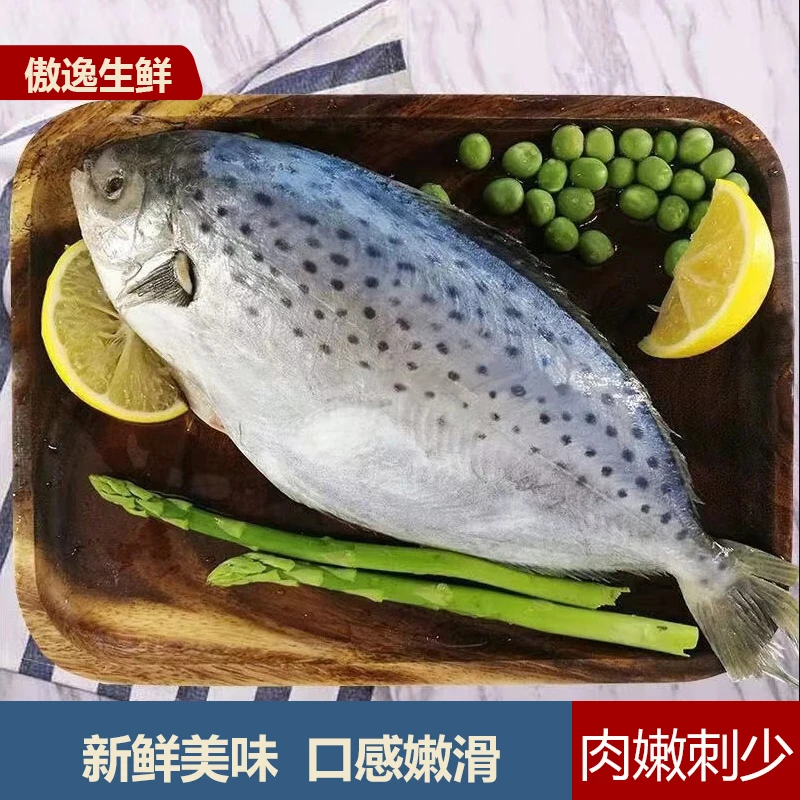 连云港发货 雪花鲳鱼肉质细嫩 200-300g/条 到手5条