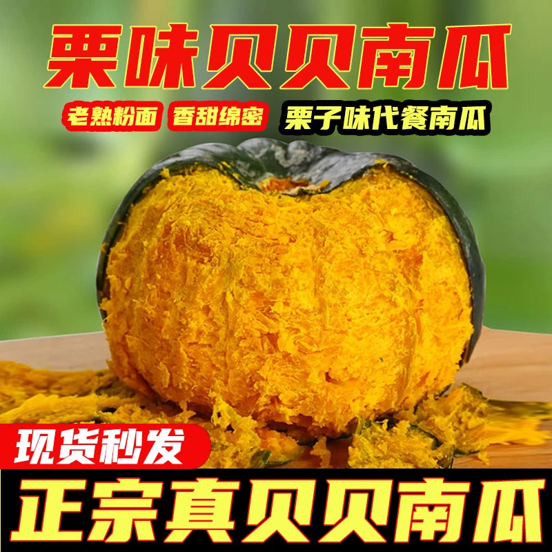 正宗真贝贝南瓜板栗味南瓜婴儿辅食老南瓜粉糯香甜4.5斤装细腻