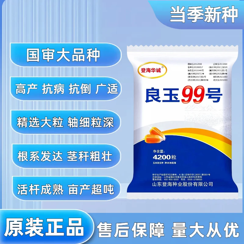 良玉99玉米种子山东登海原装正品活杆成熟红轴深马齿抗病抗倒高产
