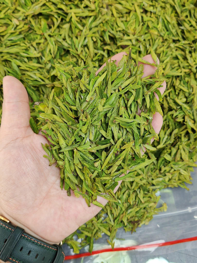 2024新茶明前杭州龙井368小芽