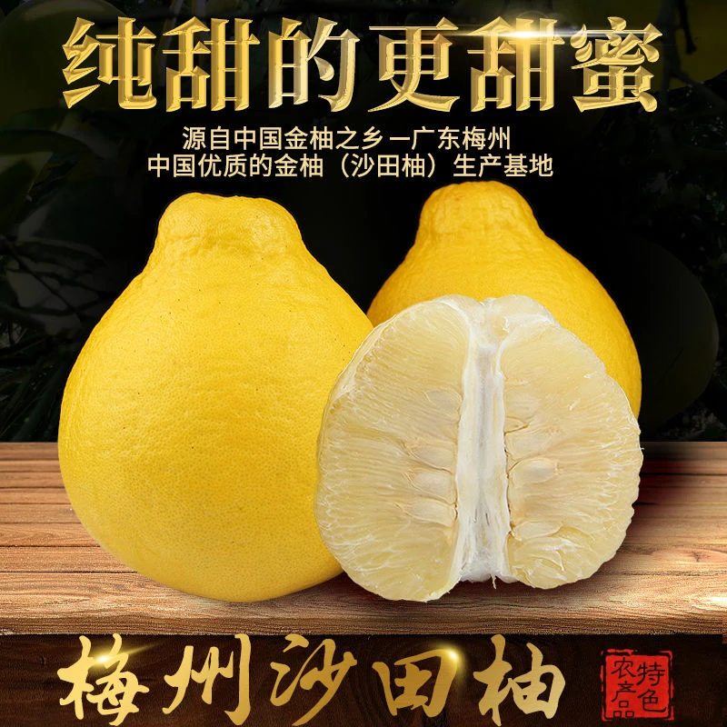 【首单免费吃】正宗梅州沙田柚新鲜柚子冰糖柚护国沙田柚大果非容县