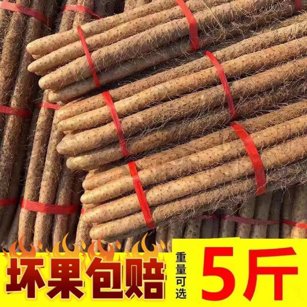 正宗铁棍山药营养价值高新鲜采挖粉糯香甜口感粉糯五斤装70-80cm