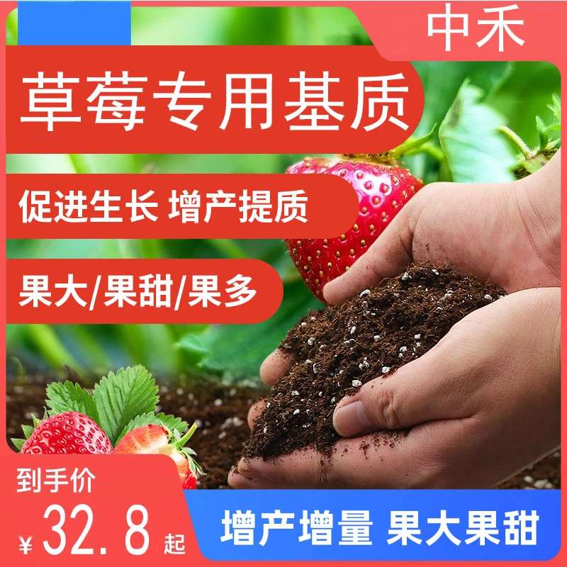 草莓专用土通用型营养土育苗基质养花专用泥炭土